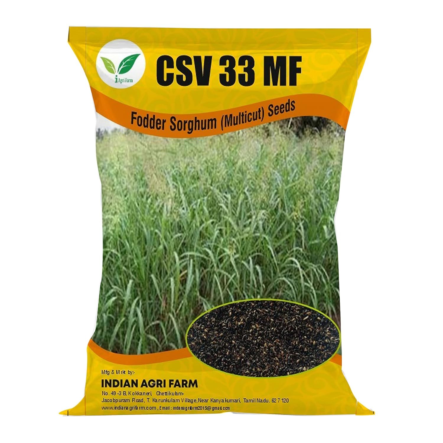 CSV 33 MF Fodder Sorghum Seed - 1 Kg - Multicut For Fodder Cultivatoin