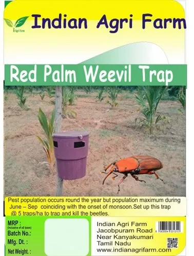 Coconut Trap 1 Lure and 1 Bucket for Controlling Red Palm Weevil (Rhynchophorus ferrugineus)