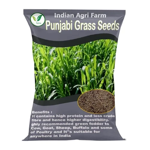 Punjabi Grass Seed - 1 Kg - Multicut Grass Seed