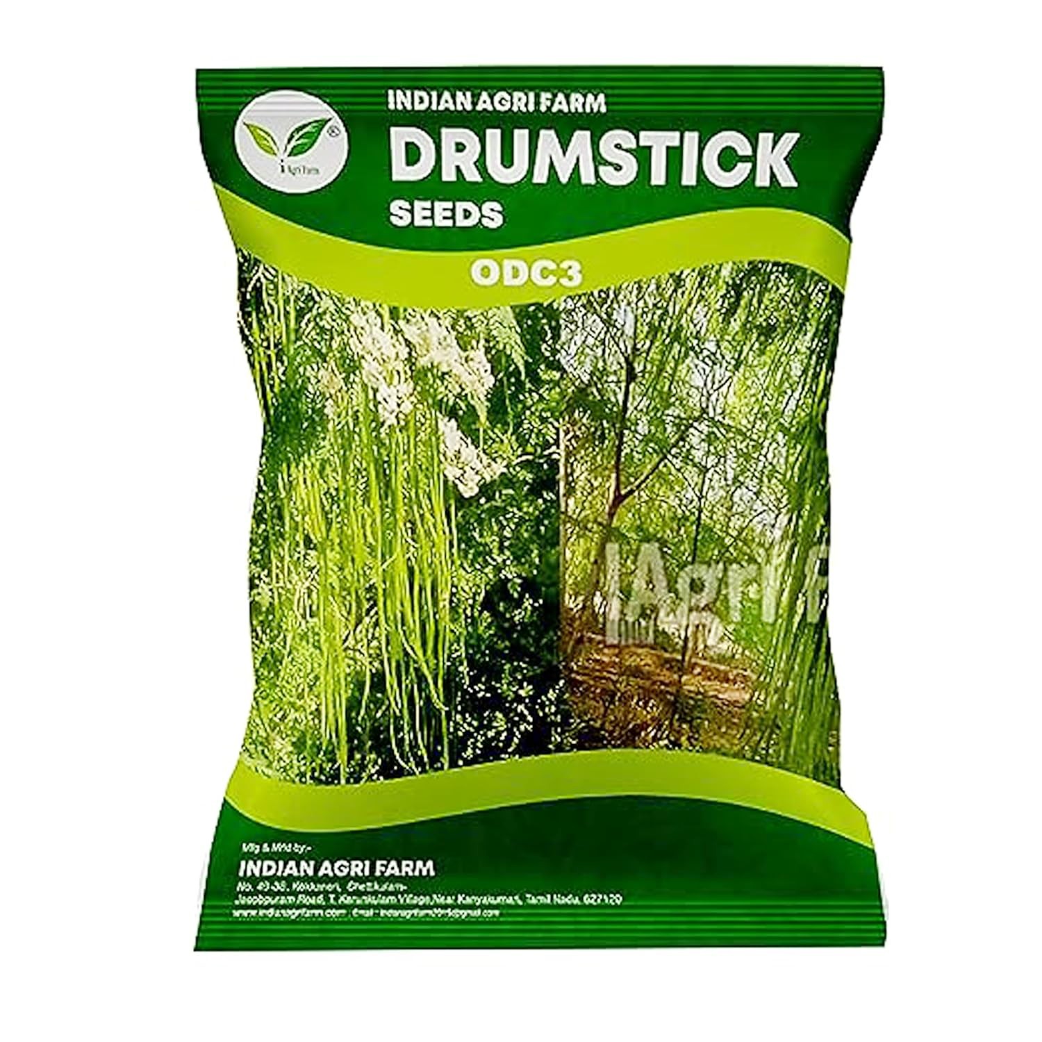 Indian Agri Farm Drumstick / Moringa Seeds Variety ODC3 for Plantation