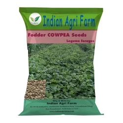 Cowpea Seed - 1 Kg - for Fodder Cultivation