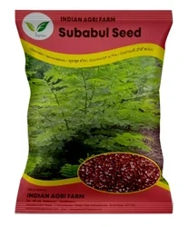 Subabul Seed - 1 Kg - Soundal - Leucaena Leucocephala
